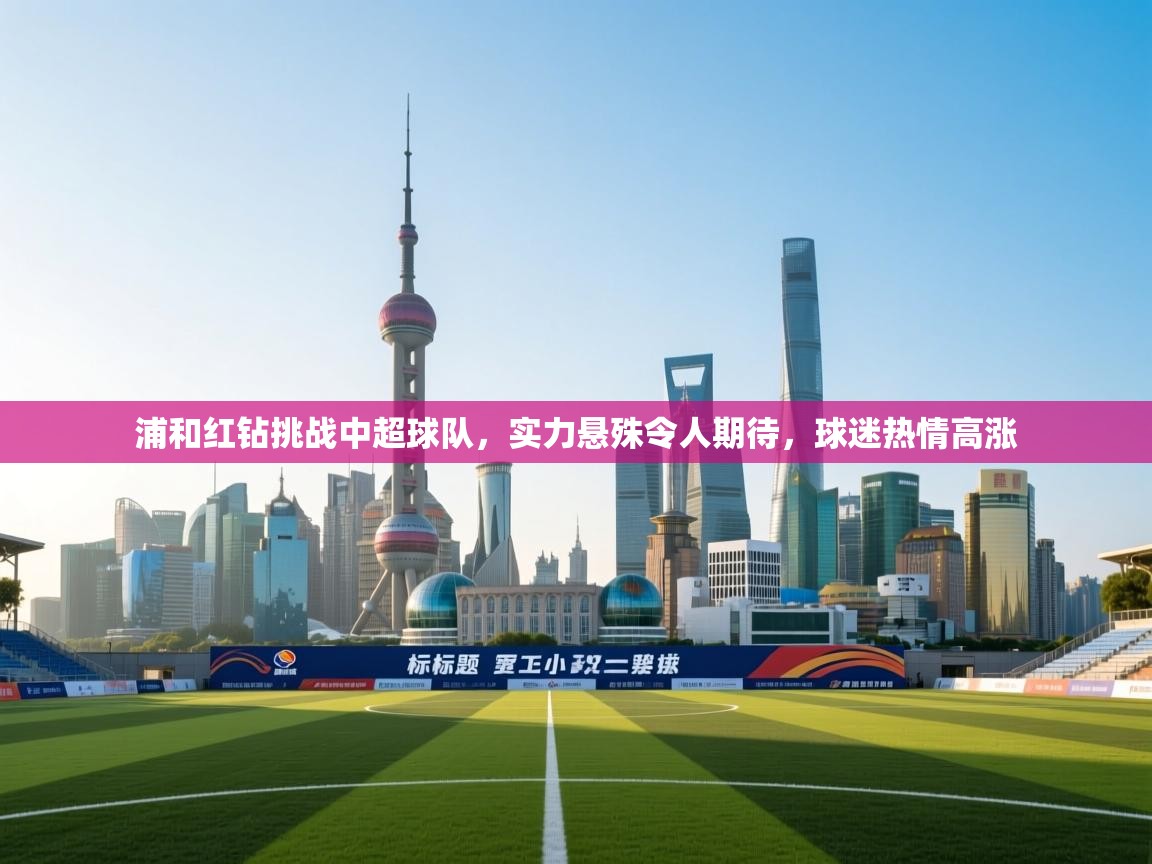 浦和红钻挑战中超球队，实力悬殊令人期待，球迷热情高涨  第1张