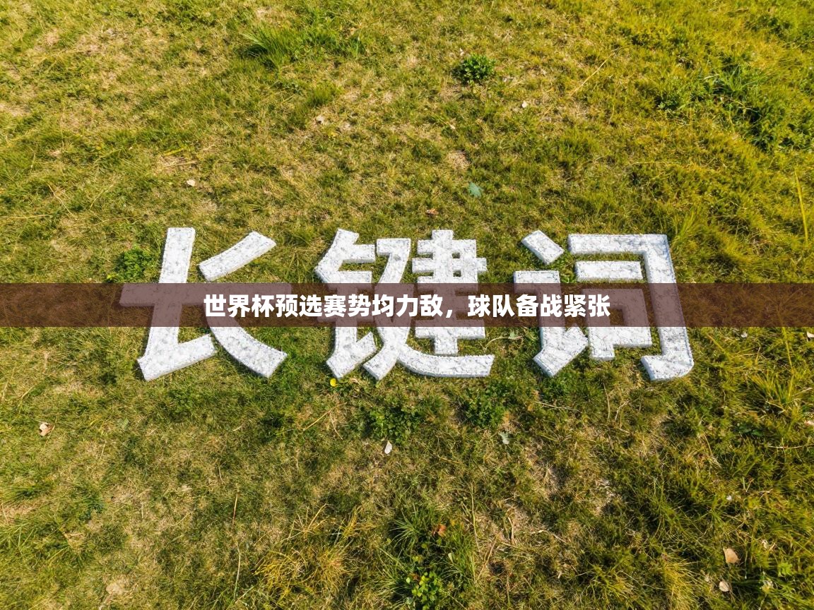 世界杯预选赛势均力敌，球队备战紧张  第2张