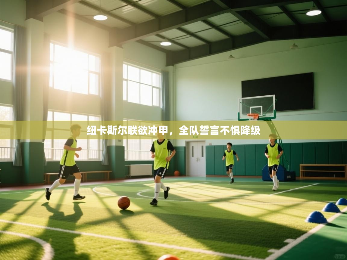 纽卡斯尔联欲冲甲，全队誓言不惧降级  第1张