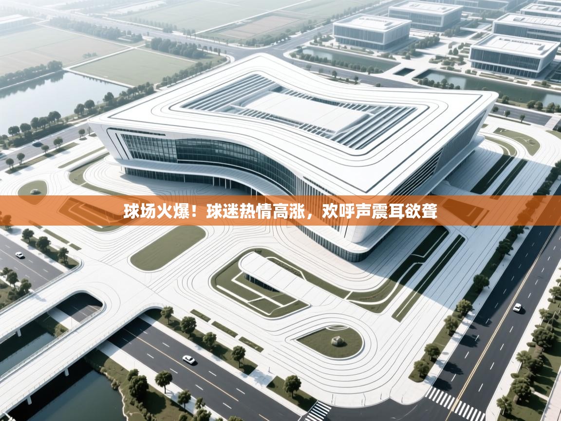 球场火爆！球迷热情高涨，欢呼声震耳欲聋  第2张