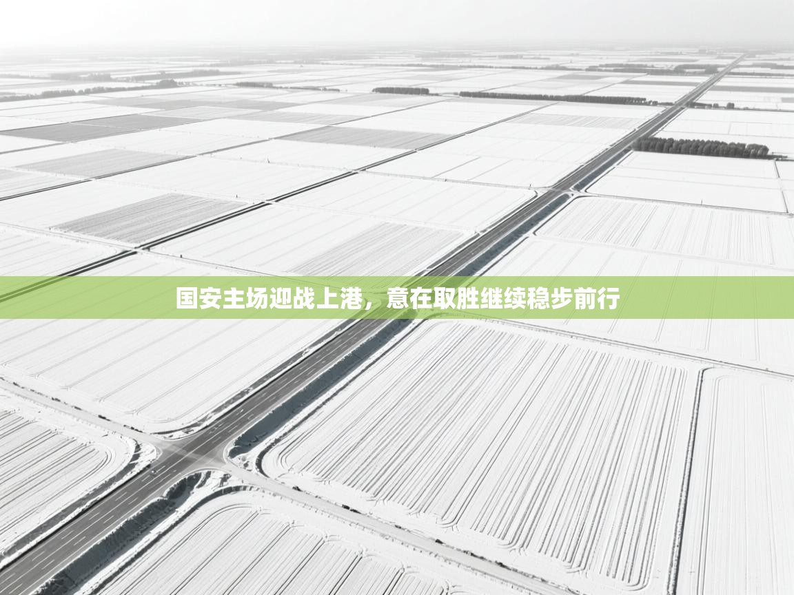 国安主场迎战上港,意在取胜继续稳步前行 第1张