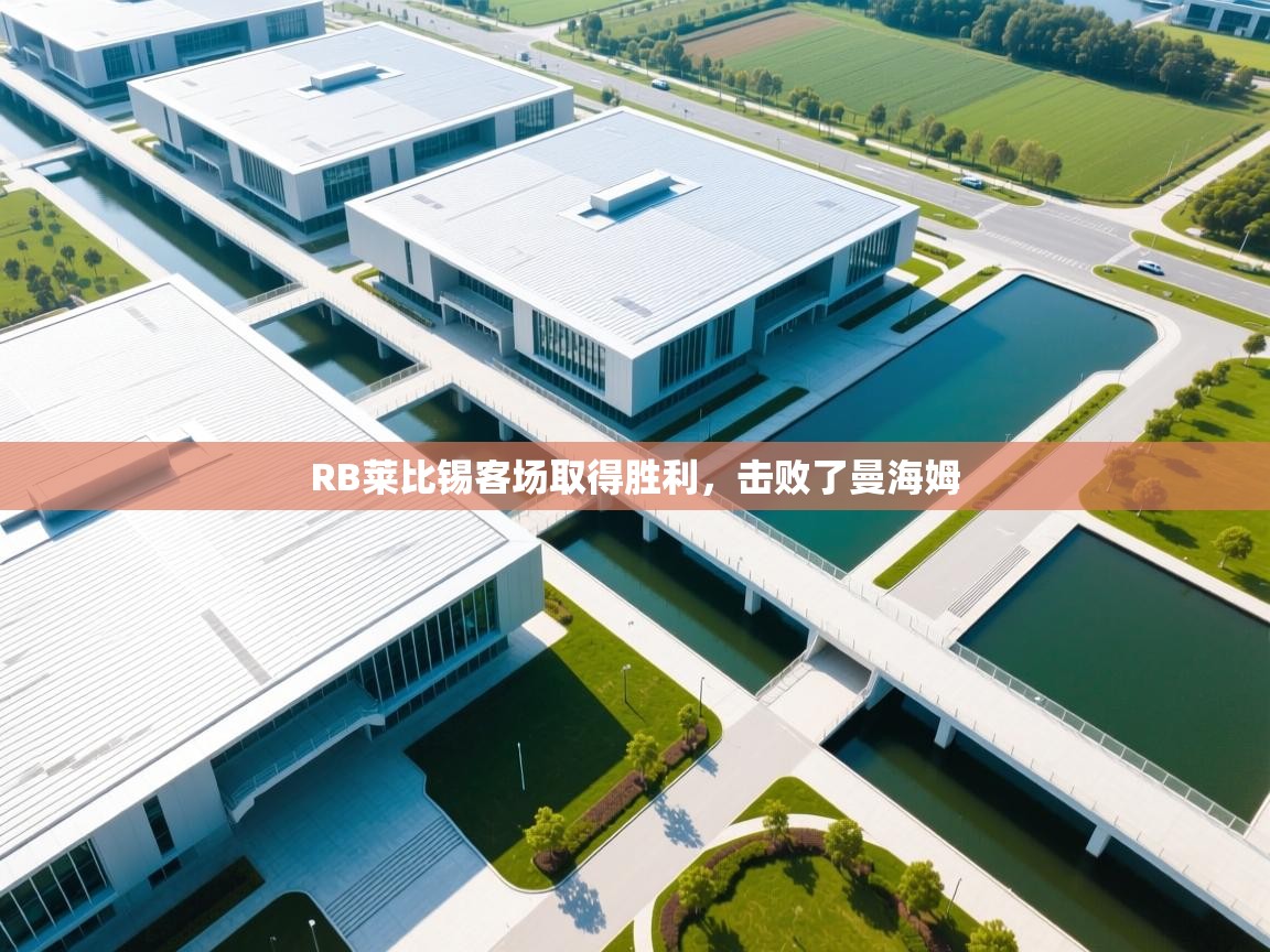 RB莱比锡客场取得胜利，击败了曼海姆  第2张